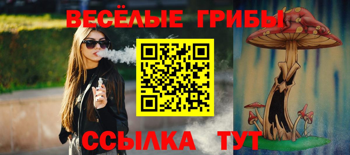 Псилоцибиновые грибы Psilocybe Лесной