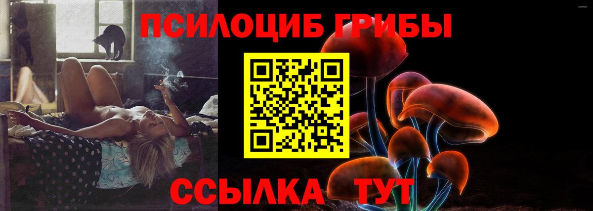 Лесной  Галлюциногенные грибы прущие грибы  Вход с VPN  Псилоцибиновые грибы Psilocybine cubensis 